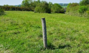A random wooden stake standing in a field, showing how confusing markers can make homeowners rely on a proper boundary line survey