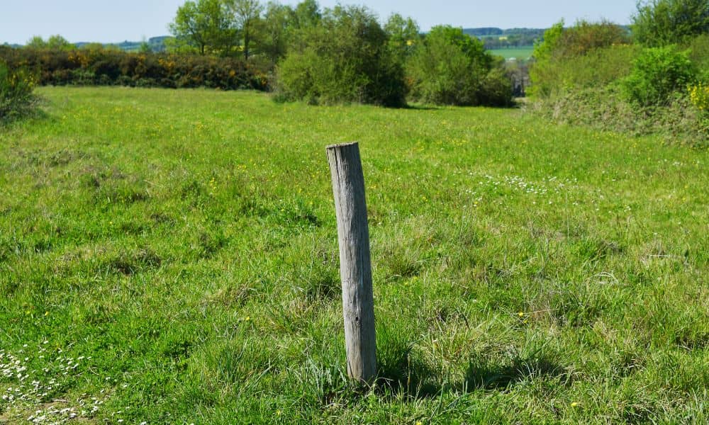 A random wooden stake standing in a field, showing how confusing markers can make homeowners rely on a proper boundary line survey