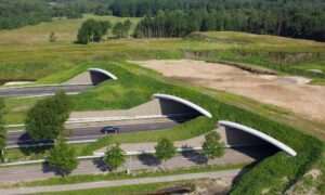 Aerial view of a wildlife overpass crossing a highway, showing how soil testing supports stable earthwork and long-term performance
