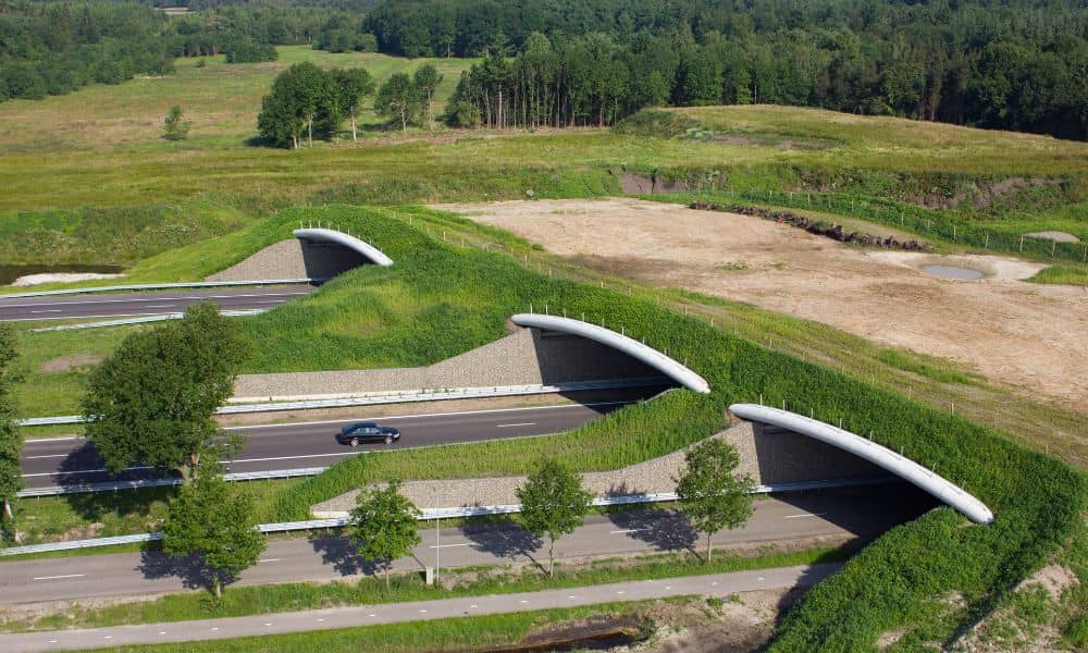 Aerial view of a wildlife overpass crossing a highway, showing how soil testing supports stable earthwork and long-term performance